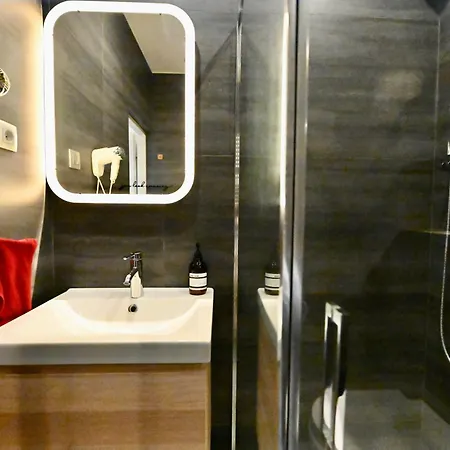 公寓 Swidnicka Apartment-city Centre 弗罗茨瓦夫