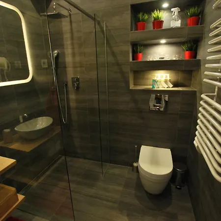 Swidnicka Apartment-city Centre Apartment *